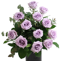 Lilac Roses